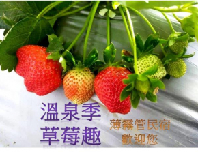 Miaoli Sanyi Bo Wu Guan Homestay